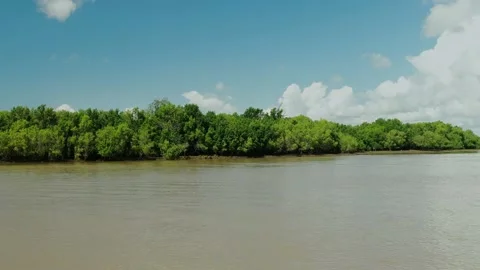 The river Ruvu passing through Sadani park Stock Footage 163983833
