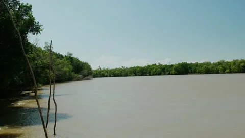 The river Ruvu surrounded by magroves Stock Footage 163983702