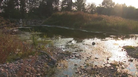 River rybnica 5 Stock Footage 8795524