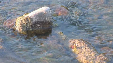 River rybnica 6 Stock Footage 8795487