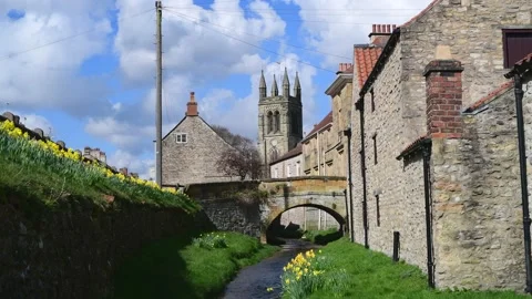 River Rye flowing by springtime daffodils at Helmsley North Yorkshire Moors UK Stock Footage 143462271