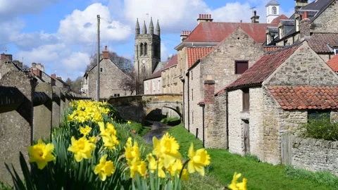River Rye flowing by springtime daffodils at Helmsley North Yorkshire Moors UK Video stock 143464573