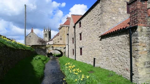 River Rye flowing by springtime daffodils at Helmsley North Yorkshire Moors UK Stock Footage 143464958