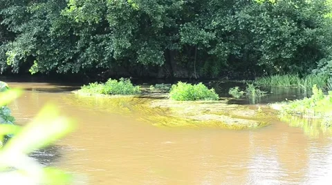 The River Sakmara Stock Footage 61055428