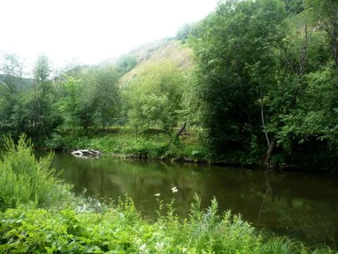 The River Sakmara Stock-Fotos