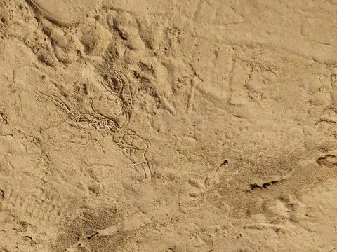 River sand Stock Photos