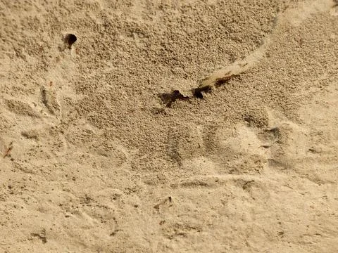 River sand Foto stock