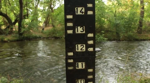 River scale level at the forest Stock Footage 58813338