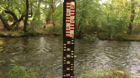 River scale level at the forest Stock Footage 58813342