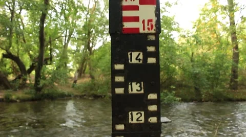 River Scale Level at the Forest Stock Footage 60741818