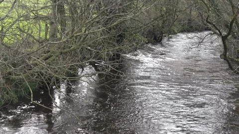 River Scape 2 Stock Footage 104556667