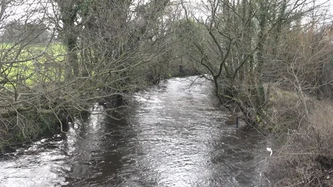 River Scape Stock Footage 104559708