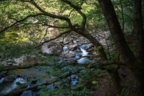 River scape Stockfoto's