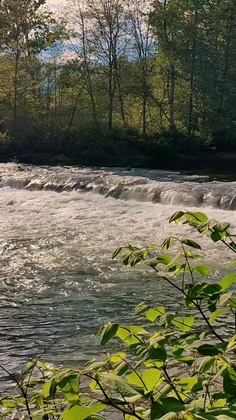 River Scene with Cascading Waterfall and Lush Greenery for Relaxing Nature Stock Footage 312386997