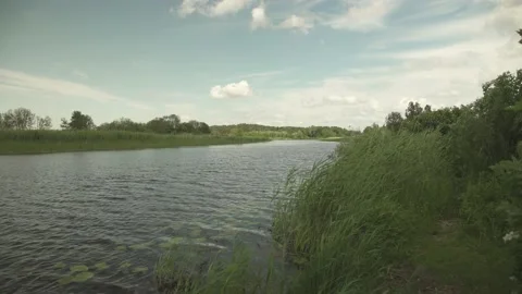 A river scene in green summer meadows and forest in the background Stock Footage 161152606