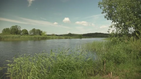 A river scene in green summer meadows and forest in the background Stock Footage 161152623