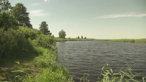 A river scene in green summer meadows and forest in the background Stock Footage 161152694