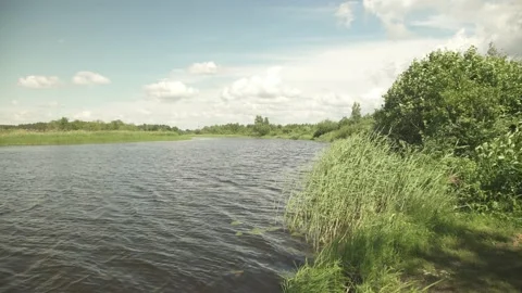 A river scene in green summer meadows and forest in the background Stock Footage 161152773