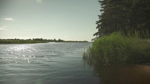 A river scene in green summer meadows and forest in the background Stock Footage 161153046