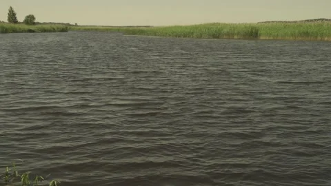 River scene with meadows in the opposite side in a windy sunny day Stock Footage 161152738