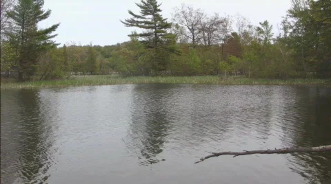 River scene with pan to left featuring boardwalk Video stock 714189