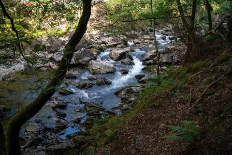 River scene Stockfoto's