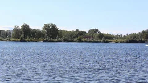 River scene in summer Stock Footage 11517731