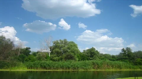 River scenery Stock Footage 8687746