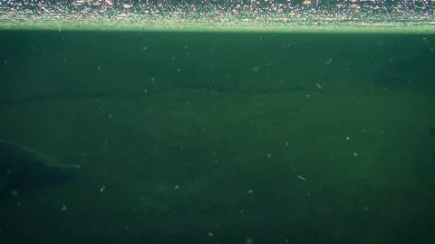 River scenery Stock Footage 259166046