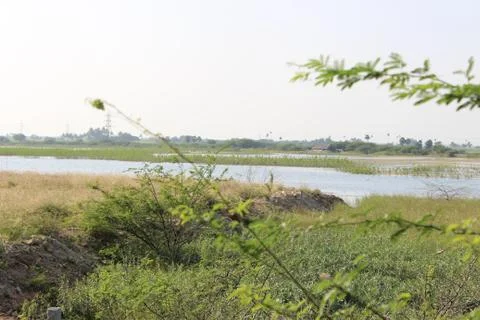 River scenery Stock Photos