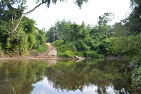 River scenery Stock Photos