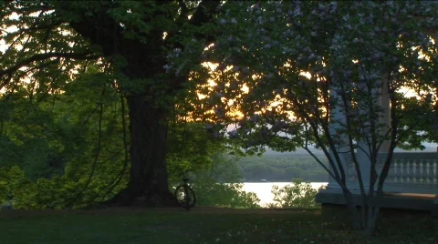River scenic 3 Stock Footage 311922