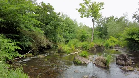 River in the Scottish countryside Stock-Footage 200845145