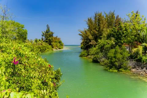 A river by the sea. Photos