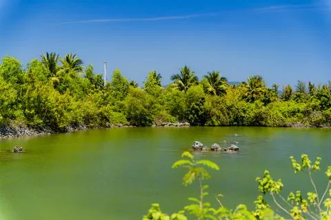 A river by the sea. Foto stock