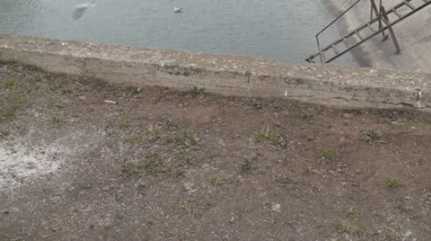 River With Seagulls In Downtown Bucharest Tilt-Shot Stock Footage 34249996