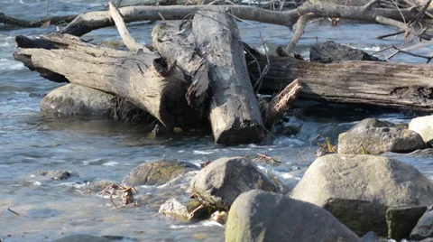 River Seamless Loop 스톡 동영상 33624249