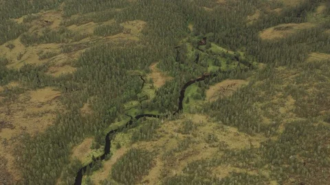 River seen from the air Vídeo Stock 95651315