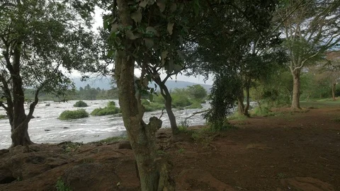 River seen from the river bank Stock Footage 87463978