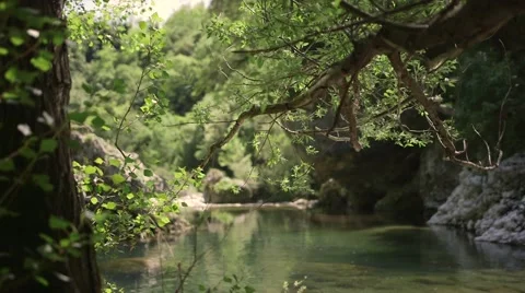 River seen through the woods Stock Footage 58684281