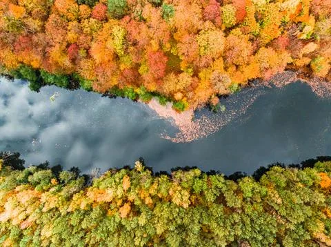 River separating the yellow autumn and green summer forest. Foto stock