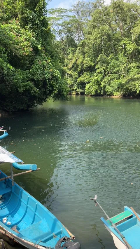 River Serenity Stock Footage 282148189