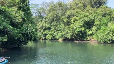 River Serenity Stock Footage 282148203