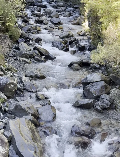 River Serenity: Tranquil Flow Among Forest Stones Stock Footage 273553824