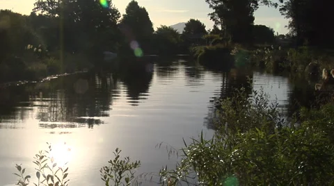River setting in New Zealand Stock Footage 3014780