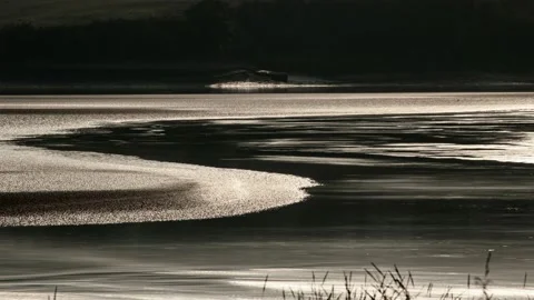 River Severn Arlingham Tide Coming In Timelapse Видео 161107672