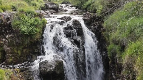 River Severn Break Its Neck Waterfall in Powys, mid Wales Stock Footage 117185033