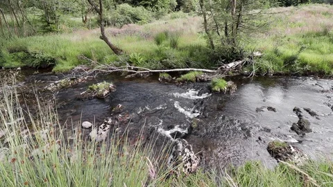 River Severn running through Hafren forest, Wales Stock Footage 117179017
