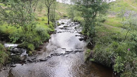 River Severn running through Hafren forest, Wales Stock Footage 117187493
