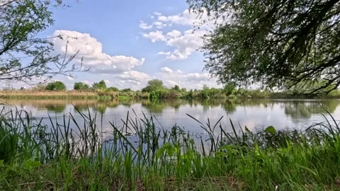 By the river in the shade of a tree Stock Footage 315575243